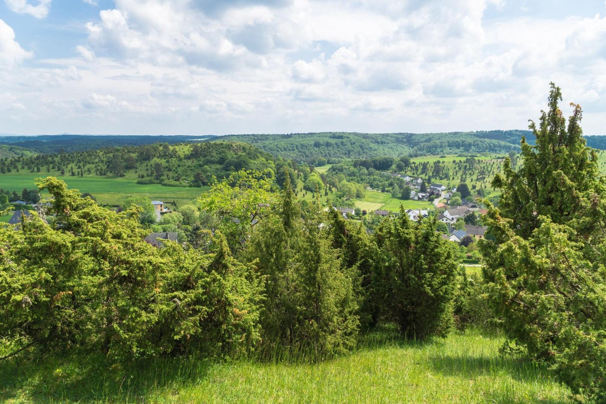 Holzhaus Onkel Fritz Mit Sauna Und Whirlwanne Esch  Eksteriør bilde