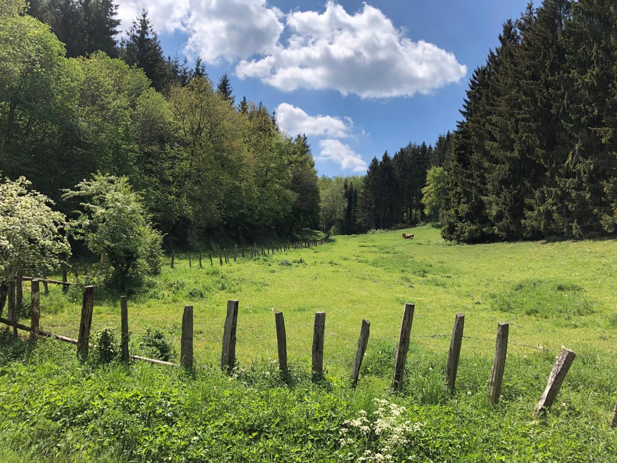 Holzhaus Onkel Fritz Mit Sauna Und Whirlwanne Esch  Eksteriør bilde